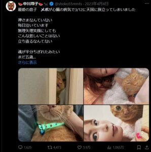 中川翔子の愛猫メポが亡くなったことを報告